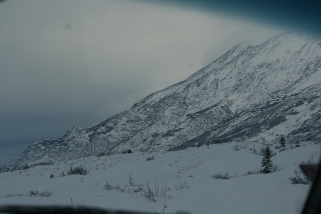 Snowy mountain range under a cloudy sky, with sparse trees and brush in the foreground