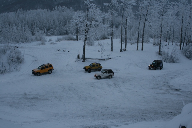 Four SUVs drive through a snow-covered forest clearing