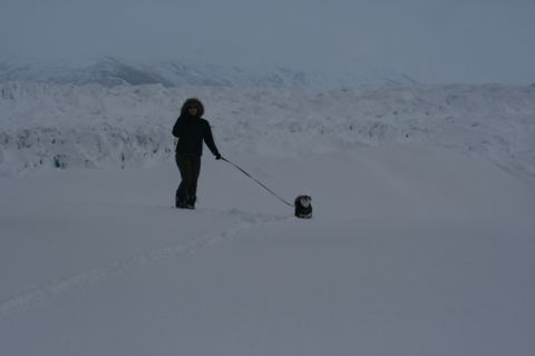 1990 Chevrolet Suburban - A woman and her dog traverse a snowy expanse with a glacier visible in the distance.