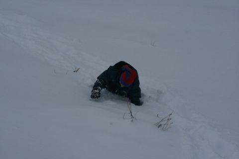 1990 Chevrolet Suburban - Child struggling to move through deep snow, possibly after falling.