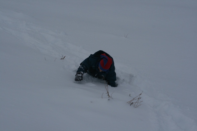 Child wearing a dark jacket and a red and blue hat crawls through deep snow