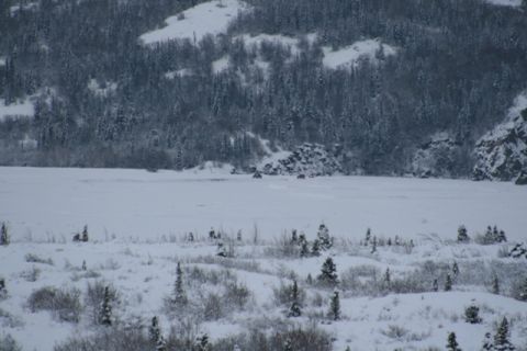 1990 Chevrolet Suburban - Two vehicles traverse a vast, frozen, and snow-covered landscape, with dense forests and rocky outcrops visible in the distance.