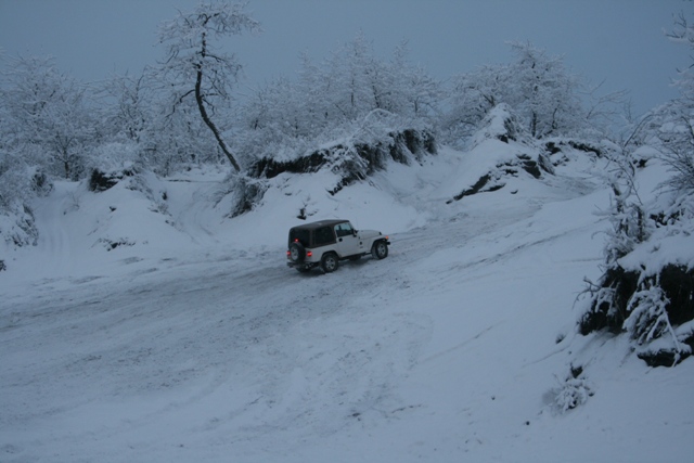 White Jeep Wrangler driving on a snowy road with trees covered in snow