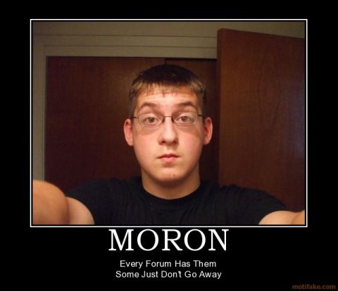 1996 Ford Bronco - A demotivational poster with the word "MORON" and a quote about forum members.