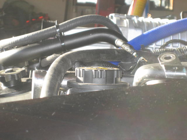 Engine bay with supercharger, black and blue hoses, and yellow cap