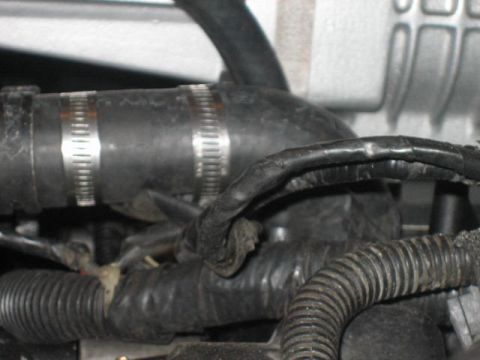 1996 Ford Thunderbird - A close-up view of engine components, focusing on hoses and electrical wiring.