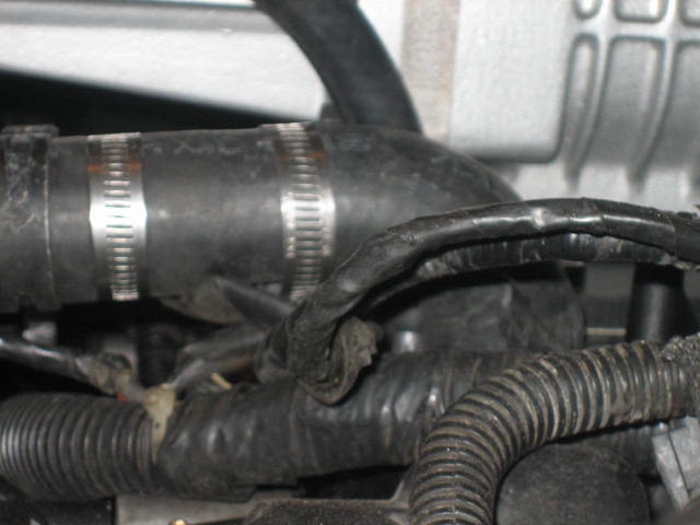 Close-up of engine hoses and wiring with metal clamps