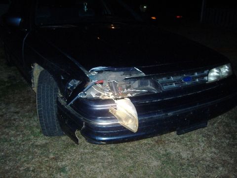 1997 Ford Crown Victoria - deer