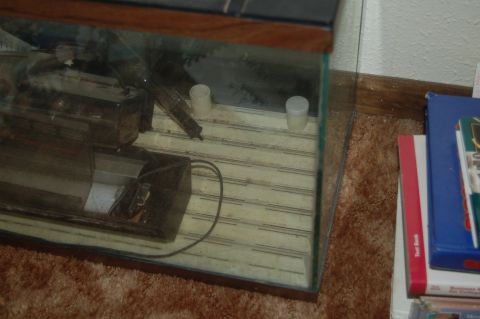 1991 Ford Probe - Close-up of an aquarium filter and substrate, with two small white containers visible.