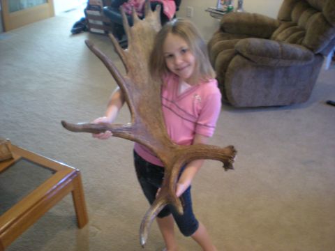 1974 Ford Ranchero - A young girl proudly displays a set of large moose antlers in a living room setting.