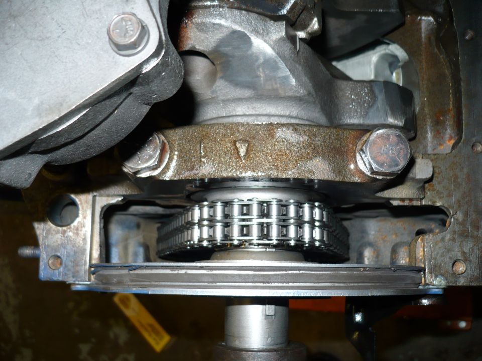 Engine timing chain and gears