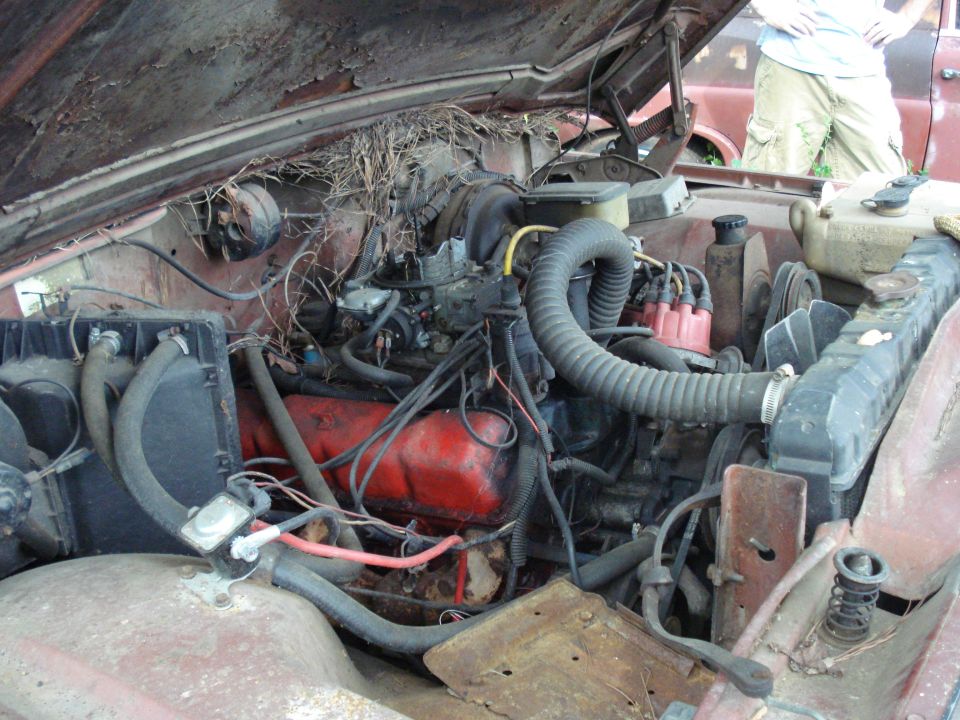 Engine bay of an old Jeep with lots of rust and bird nests. Another vehicle is visible in the background