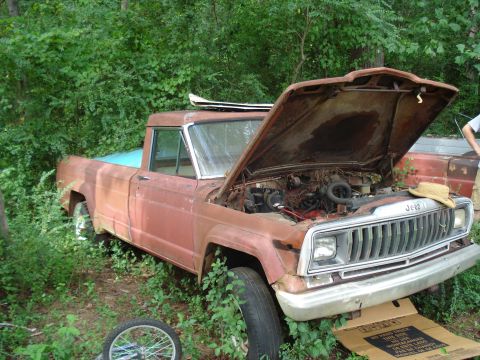 1984 Jeep J-10 - This abandoned Jeep J-10 pickup truck shows significant rust and is surrounded by dense foliage.