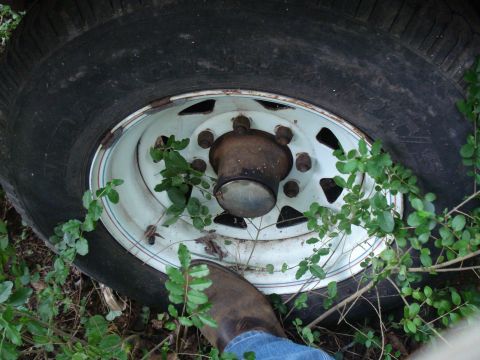 1984 Jeep J-10 - A close-up view of a vehicle's wheel and tire, partially obscured by overgrown vegetation.
