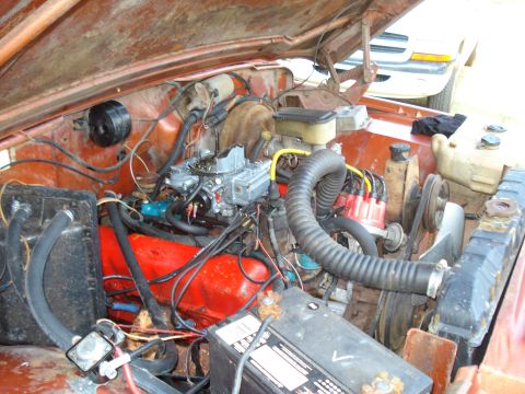 1984 Jeep J-10 - Engine bay view of a 1984 Jeep J-10, showing the V8 engine components.