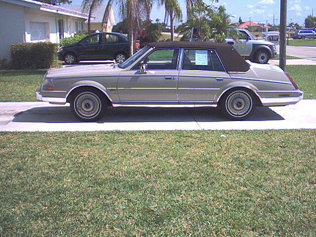 Gold sedan with brown vinyl top parked in profile on a driveway