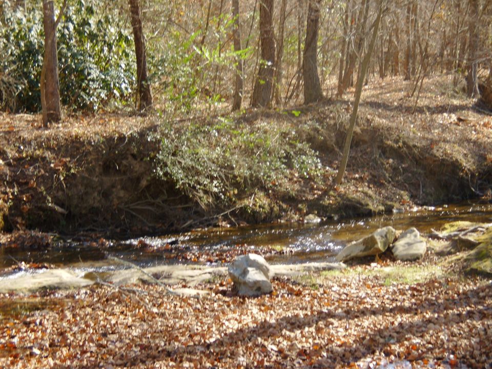 Small rocky stream in bare winter forest with leaf-covered banks