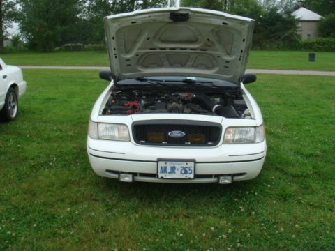 2004 Ford Crown Victoria - Front view of a white 2004 Ford Crown Victoria with its hood open, parked on grass.