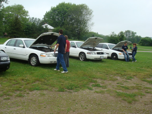 Several white Ford Crown Victorias with hoods open parked on grass