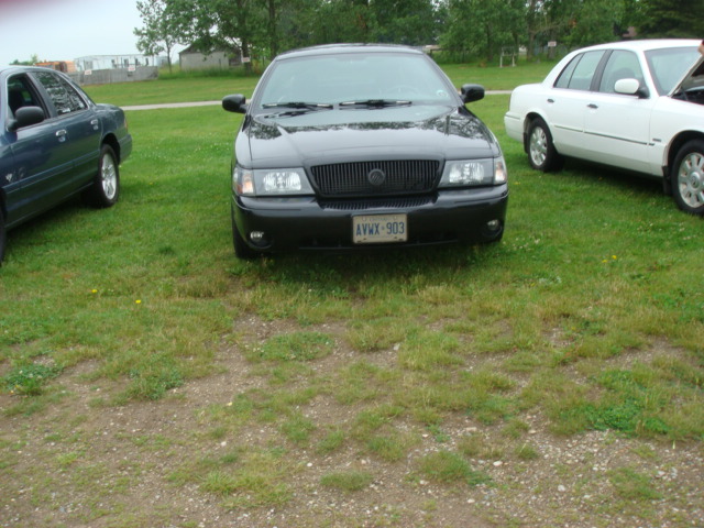 Black sedan with a dark grille and license plate AVWX-903 parked on grass