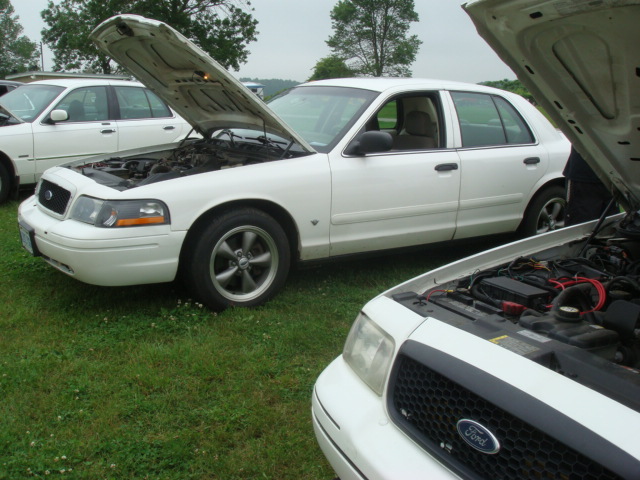 Two white Ford Crown Victoria sedans parked on grass, both with hoods open. The front car's grille and headlights are visible