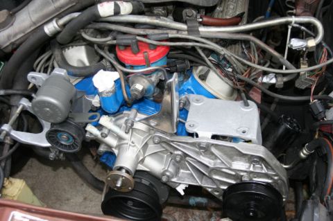 1980 Ford Mustang - Close-up view of an engine bay, showing the intake manifold, distributor, and associated components.