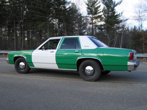 1991 Ford LTD Crown Victoria - Driver-side profile of a green-and-white full-size Ford sedan parked on a paved lot in front of bare and evergreen trees.