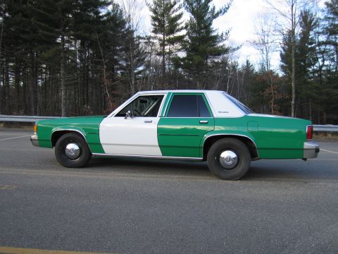1991 Ford LTD Crown Victoria - green-and-white full-size Ford sedan shown from the rear three-quarter on a paved lot bordered by trees.