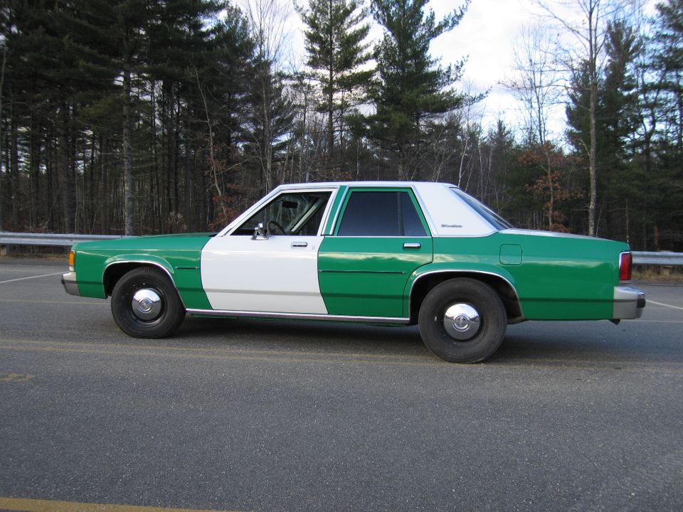Green and white Ford sedan, rear three-quarter view, parked by woods