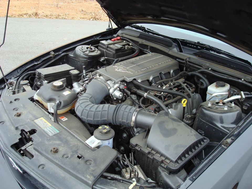Ford V8 engine bay with pony-badged intake manifold, air tube and black airbox