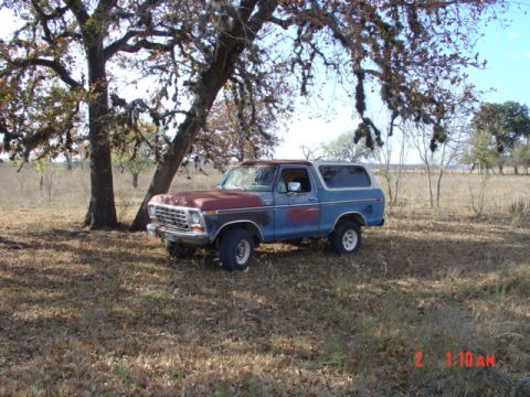 1979 Ford Bronco - the truck under a nice big tree