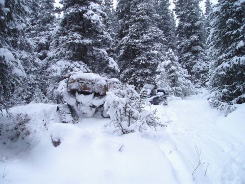 2000 Ford E350 - Two tracked vehicles are partially buried in snow amidst a dense forest, suggesting they are off-road or abandoned.