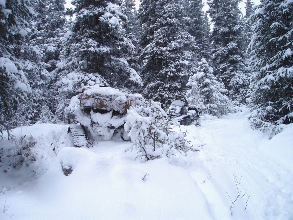 Two snow-covered tracked vehicles in a winter forest