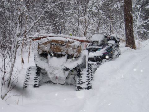 2000 Ford E350 - Two snowmobiles are parked in a snowy wooded area, partially covered by falling snow.