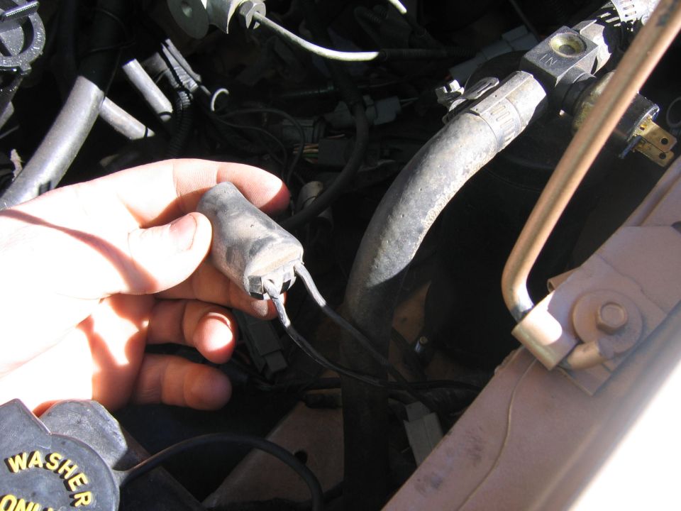hand holding a small cylindrical car part with wires, near hoses and other engine components. Washer fluid cap visible