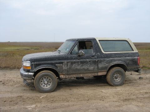 1994 Ford Bronco - A muddy black 1994 Ford Bronco is seen from the side on a dirt road with marshland in the background.