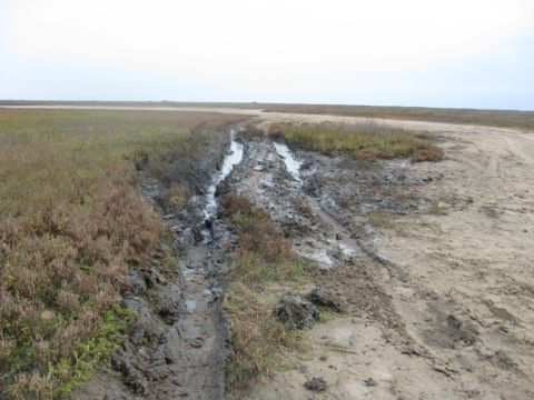1994 Ford Bronco - Tire tracks mark a path through a wet, muddy terrain with low-lying vegetation and a distant horizon.
