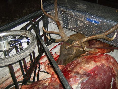 1990 Ford Bronco - Hunting trophies and gear loaded into the bed of a truck after a successful hunt.