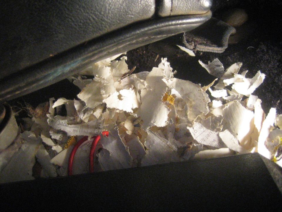 Shredded paper nest debris and red wire inside a dark vehicle interior cavity