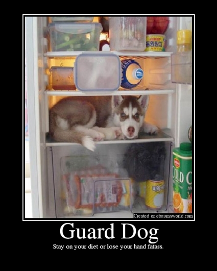 2000 Mercury Grand Marquis - A husky puppy is found inside a refrigerator, guarding the food.