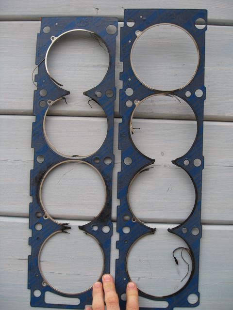 1969 Mercury Cyclone - Two engine head gaskets are laid out on a light gray wooden surface. The gaskets are blue with a striped pattern and have several bolt hole…
