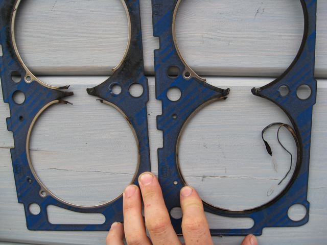 Two blue head gaskets with damaged, separated cylinder fire rings on a white wood surface