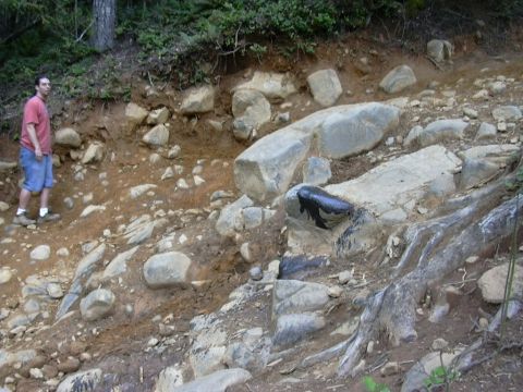 1991 Ford Bronco - Someone picked the wrong line, OUCH!