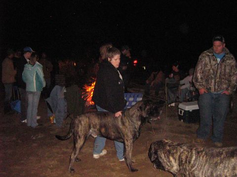 1990 Ford Bronco - A group of people and their dogs are enjoying a campfire at night.