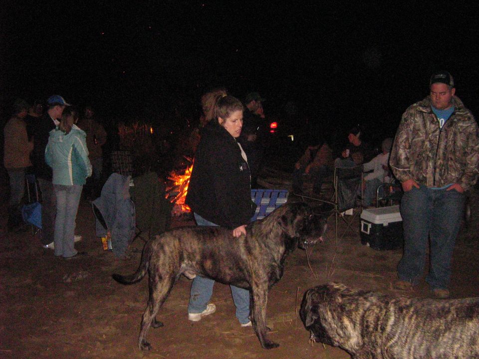 People and dogs gathered around a campfire at night