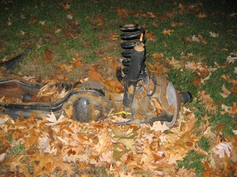 1996 Ford Bronco - A disassembled rear axle assembly, including a shock absorber and coil spring, rests on a bed of autumn leaves.
