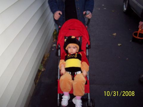 2000 Ford Crown Victoria - A baby dressed as a bee sits in a red stroller on Halloween 2008.