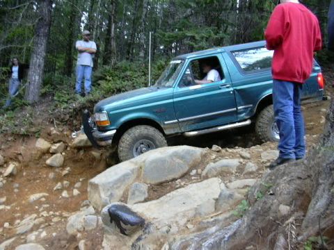 1991 Ford Bronco - How bout it Greg?