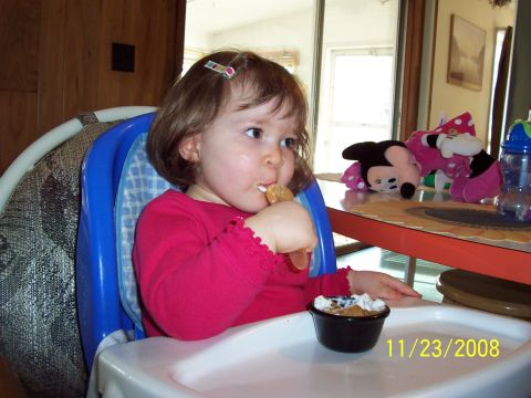 2000 Ford Crown Victoria - Toddler eating dessert in a high chair, with stuffed toys on the table.
