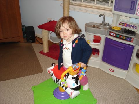 2000 Ford Crown Victoria - A young child is playing on a zebra spring rider toy indoors.